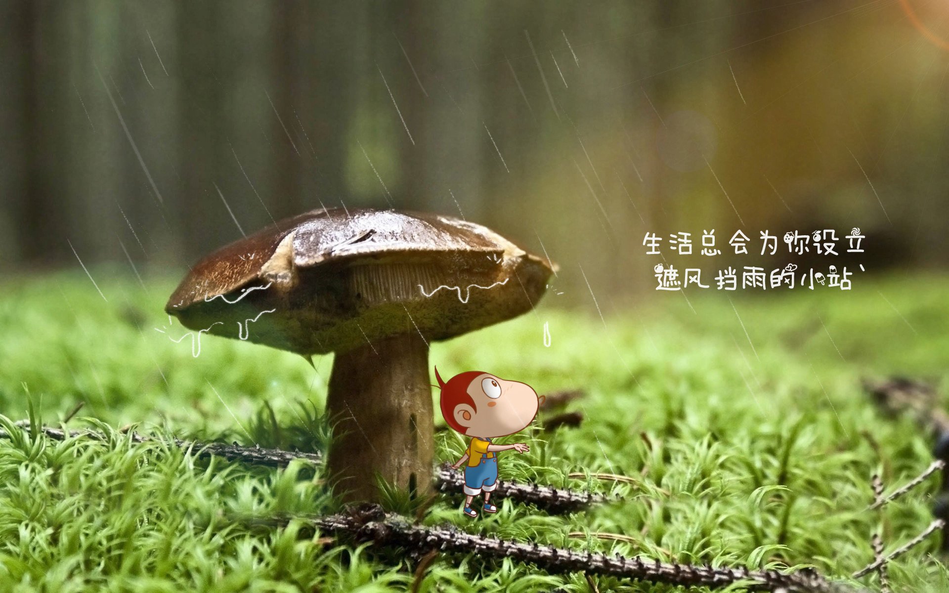 喷灌设备农业灌溉怎么安装施工（农用喷灌设备）